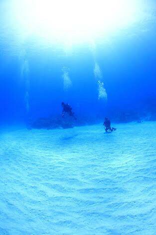 秋利神の海