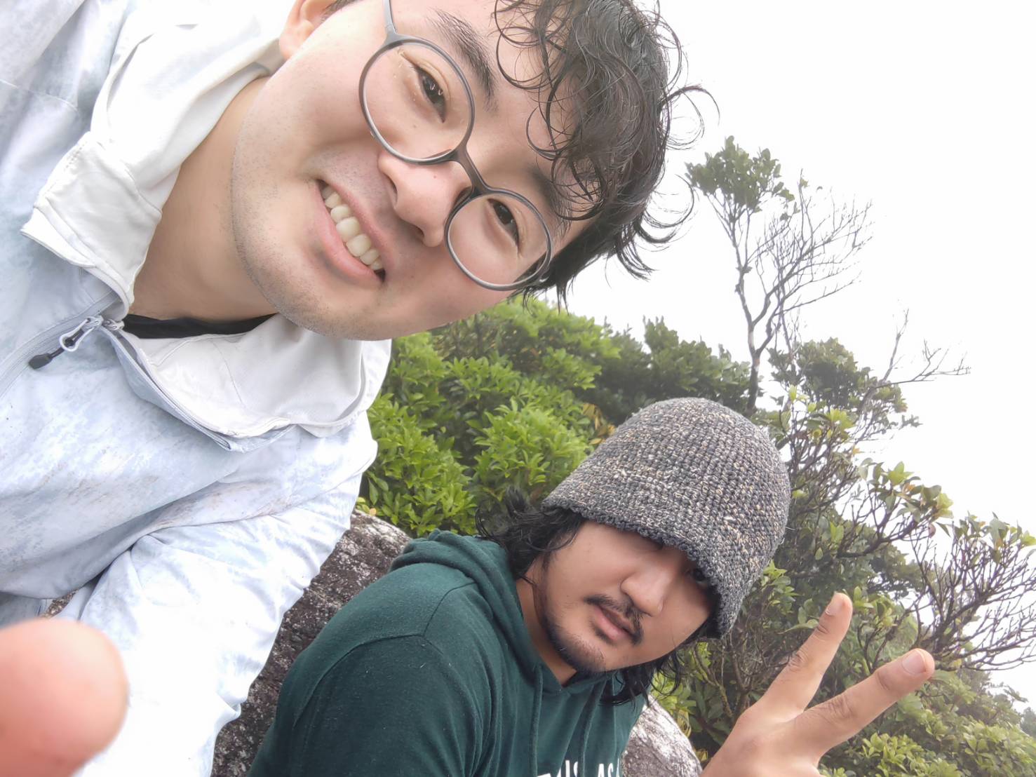 自然緑群の神秘