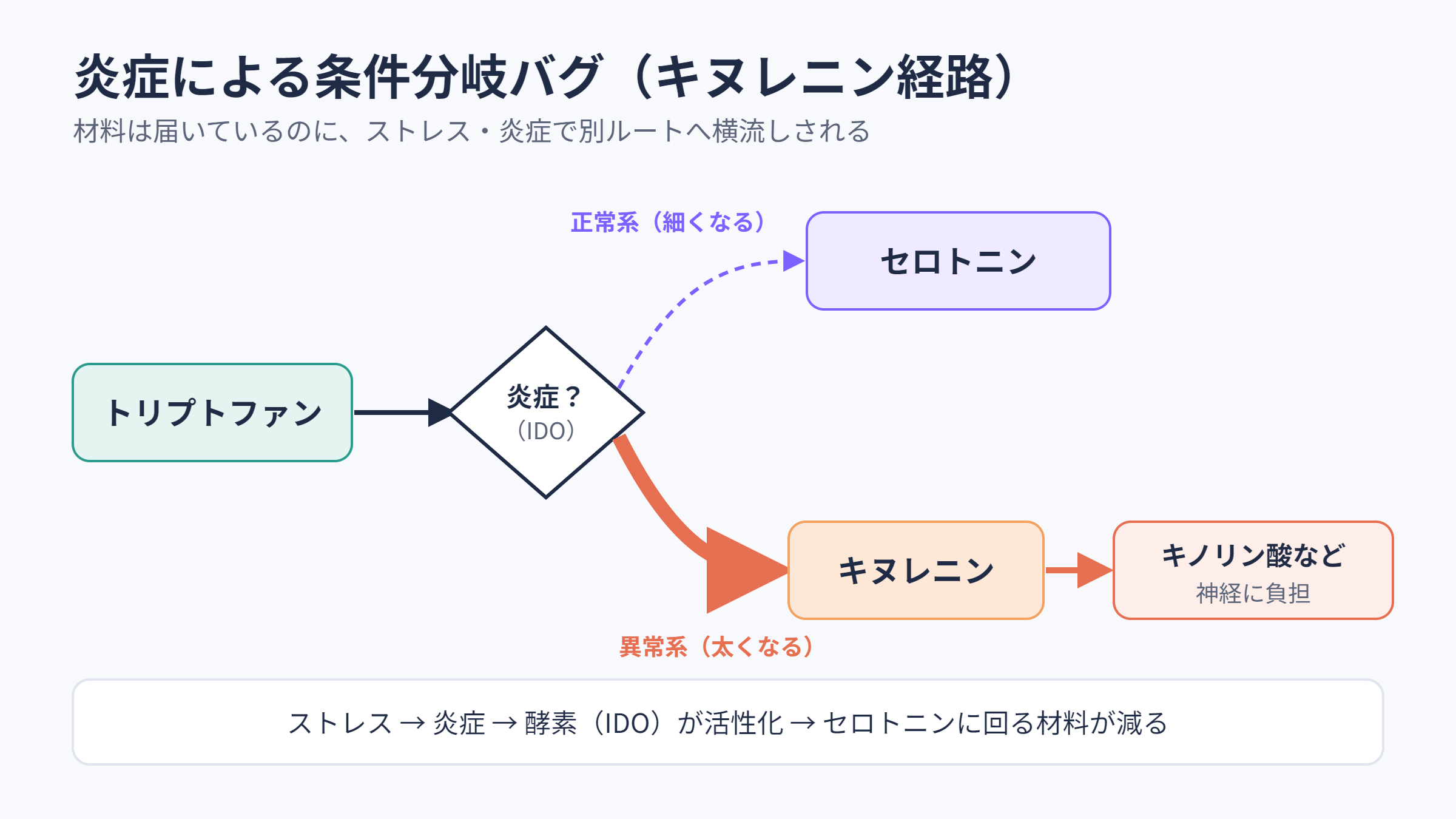 炎症によるキヌレニン経路への条件分岐