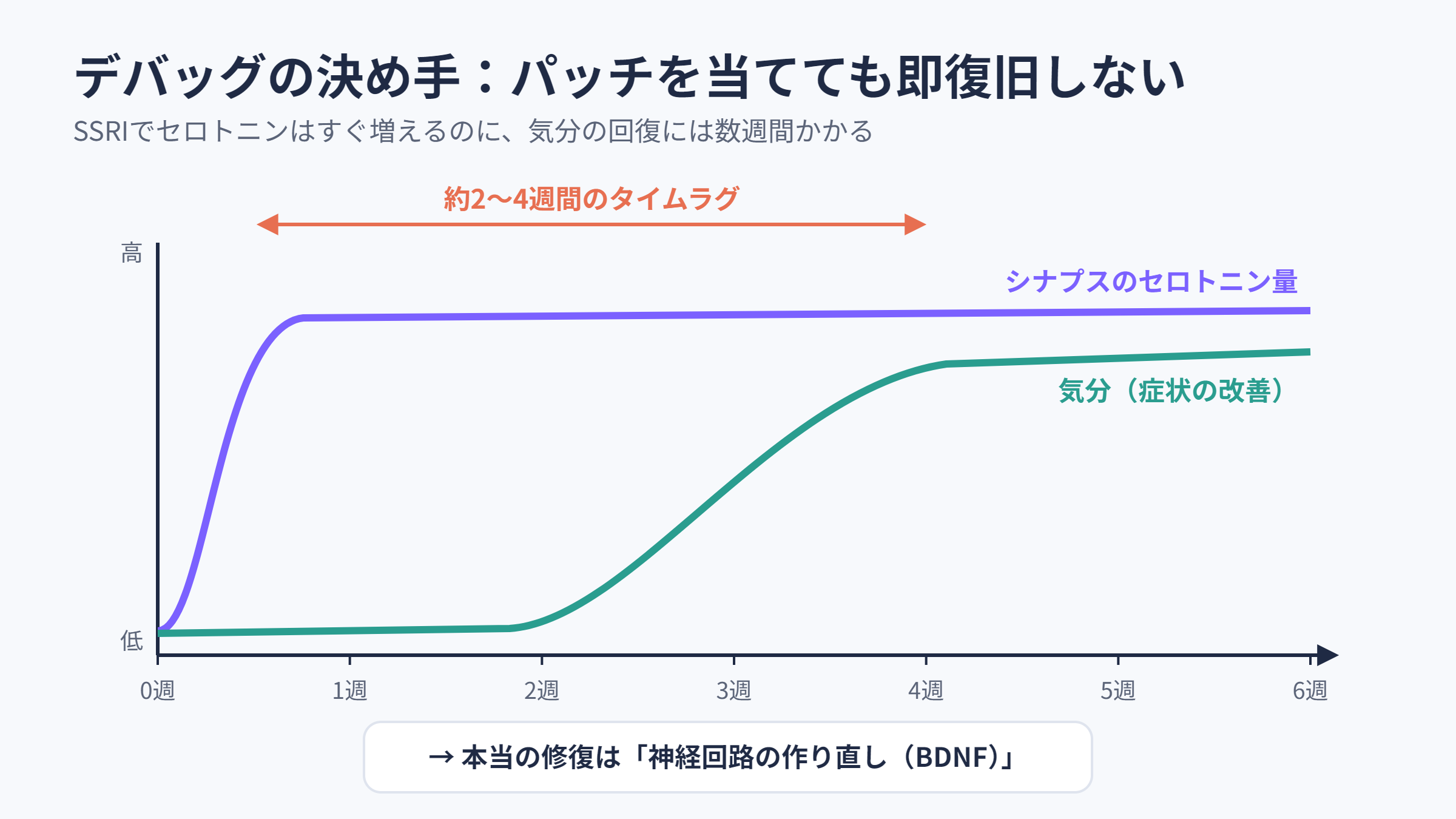 SSRIのセロトニン増加と気分改善のタイムラグ
