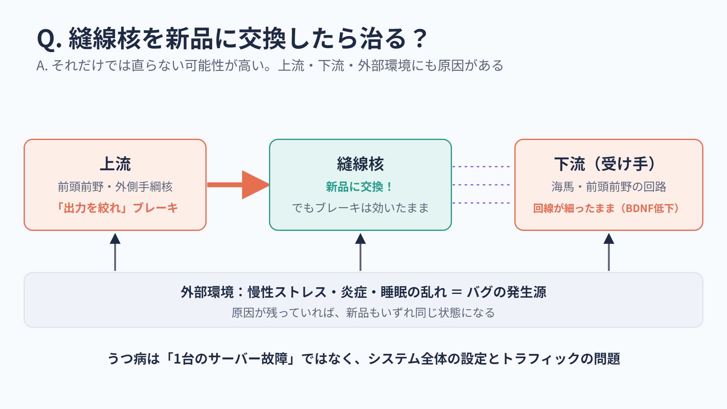 縫線核を交換しても直らない理由:上流・下流・外部環境